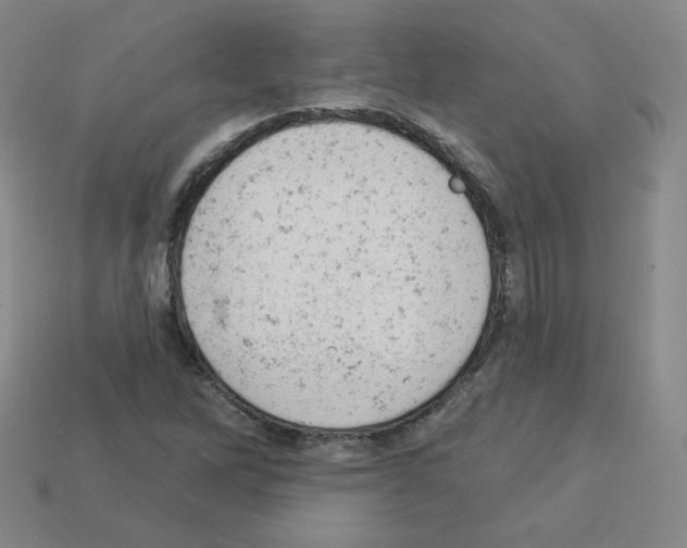 X0000112781262200910011250