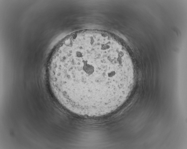 X0000112781263200910011250