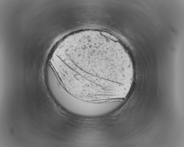 X0000112781264200910011250