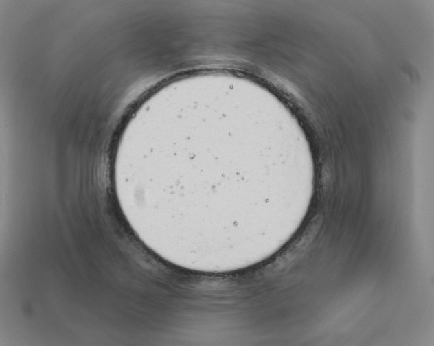 X0000112781267200910011250