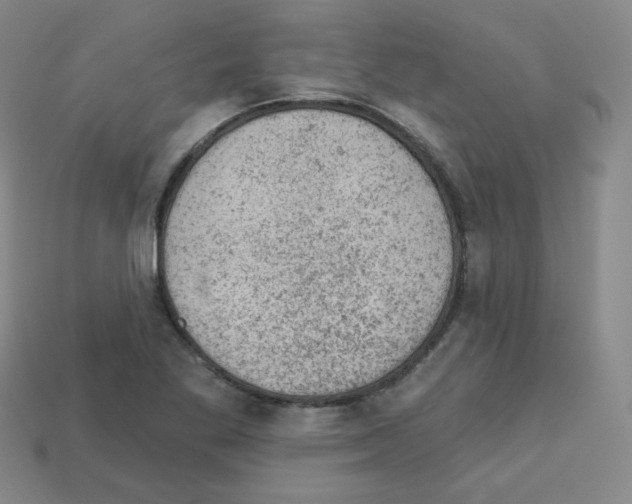 X0000112781269200910011250