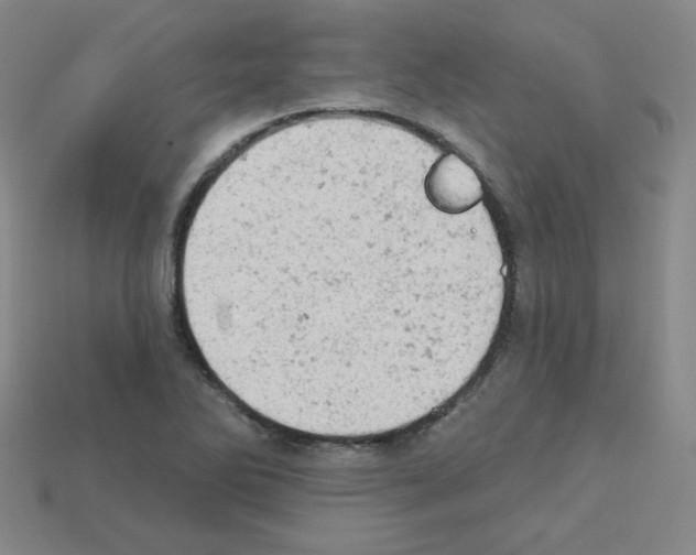 X0000112781270200910011250