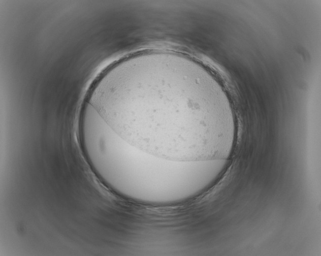 X0000112781272200910011250