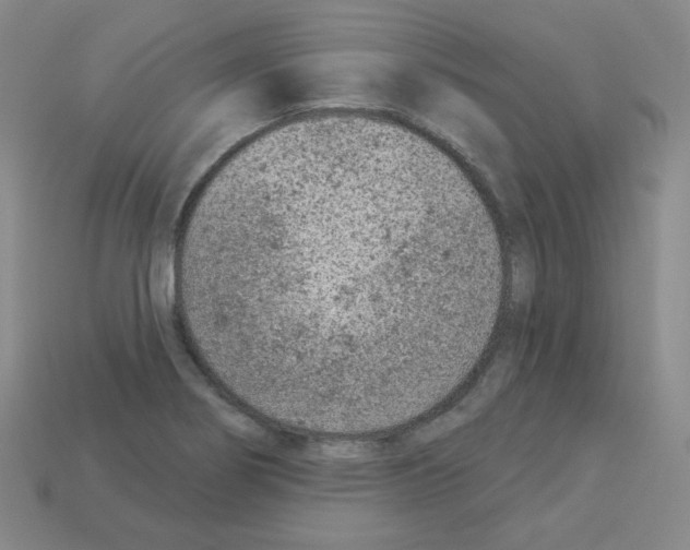 X0000112781274200910011250