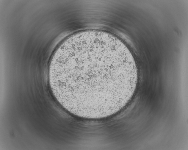 X0000112781275200910011250