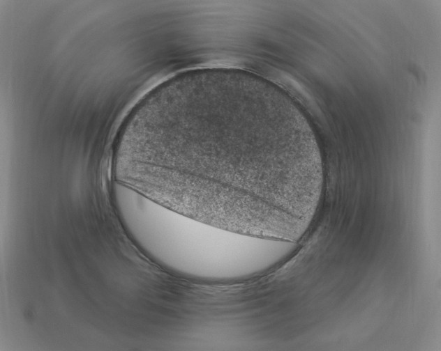 X0000112781276200910011250