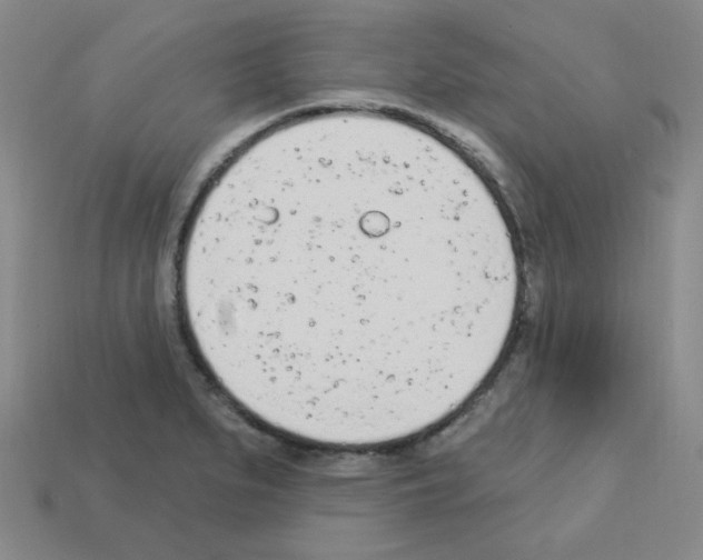 X0000112781279200910011250