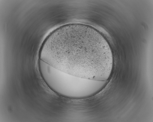 X0000112781280200910011250