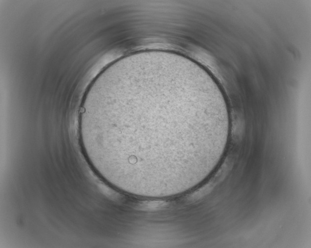 X0000112781282200910011250