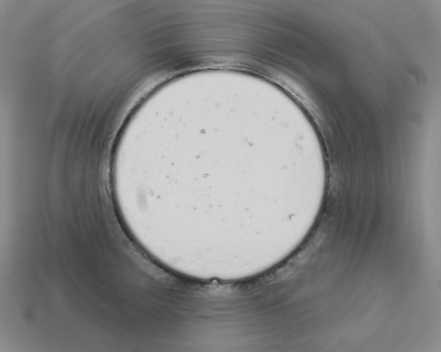 X0000112781283200910011250