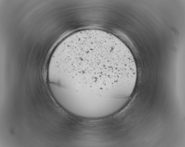 X0000112781284200910011250