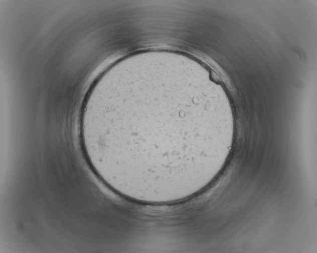 X0000112781285200910011250