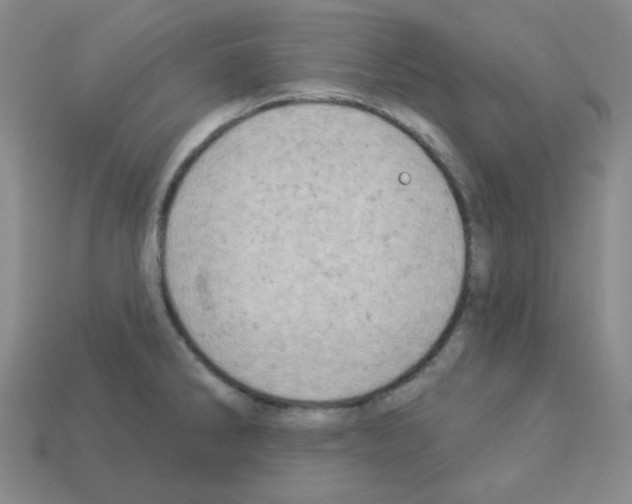 X0000112781286200910011250