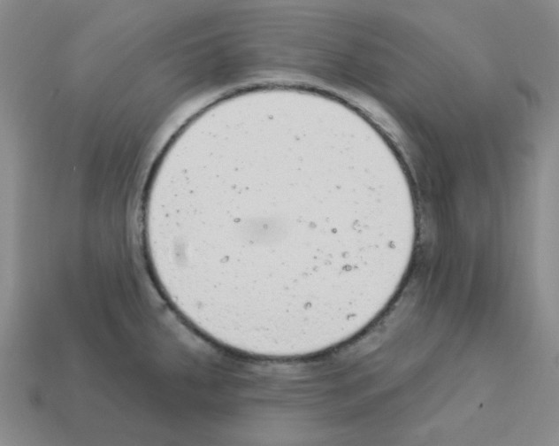 X0000112781287200910011250