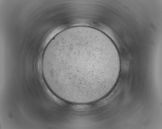 X0000112781290200910011249