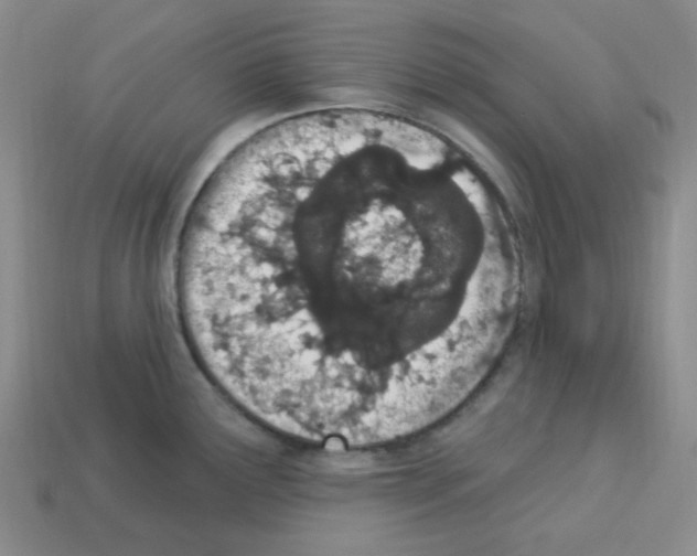 X0000112781291200910011249