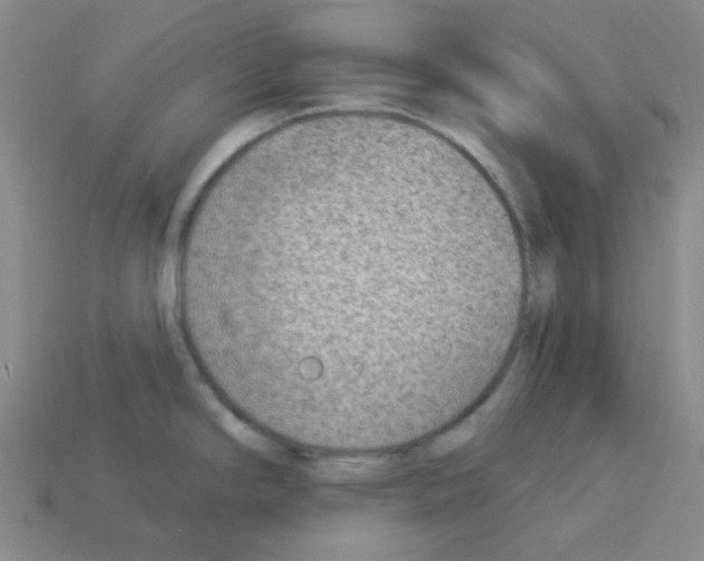 X0000112781294200910011249