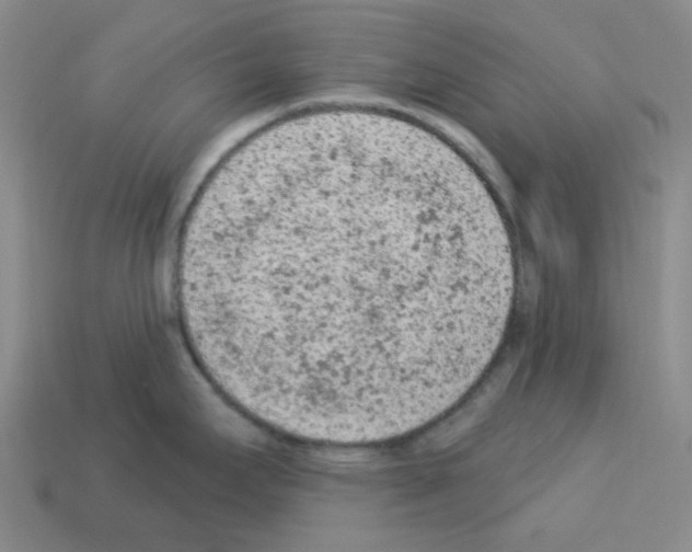 X0000112781295200910011249