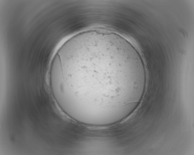 X0000112781296200910011249