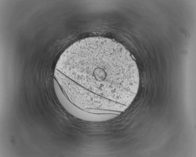 X0000112781298200910011249