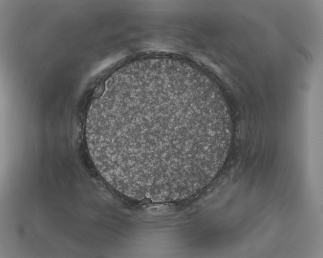 X0000112781303200910011249