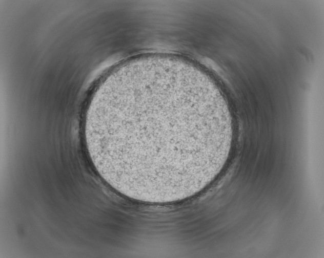 X0000112781307200910011249