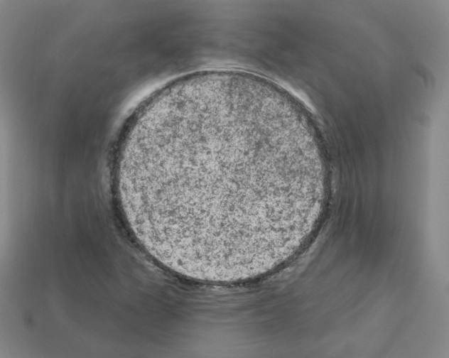 X0000112781311200910011249