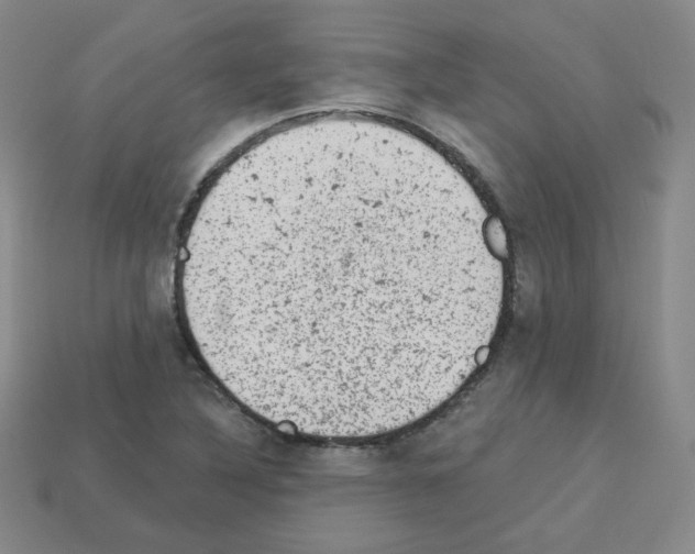 X0000112781316200910011249