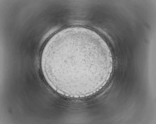 X0000112781317200910011249