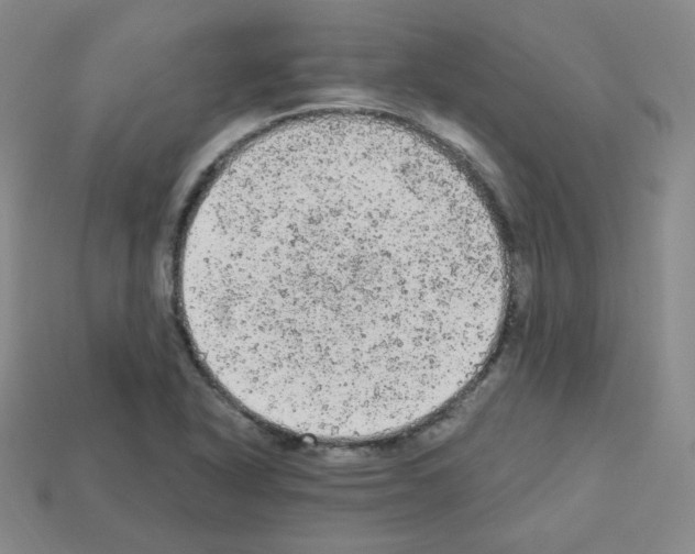 X0000112781318200910011249