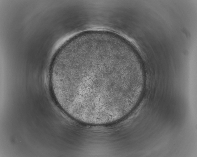 X0000112781319200910011249