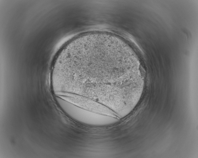 X0000112781320200910011249