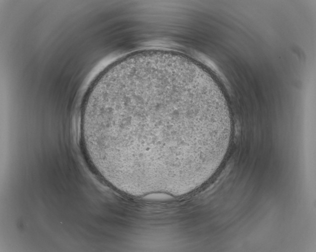 X0000112781323200910011249