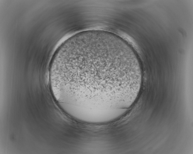 X0000112781324200910011249