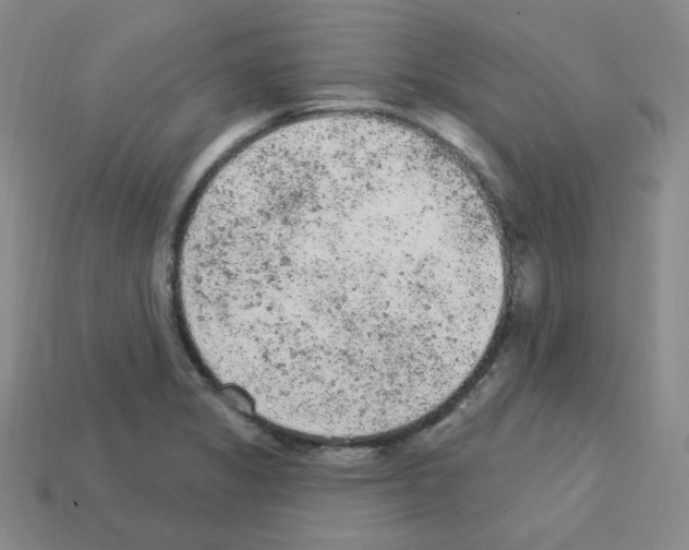 X0000112781325200910011249