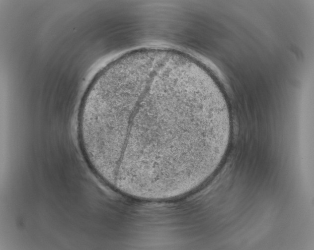 X0000112781327200910011249