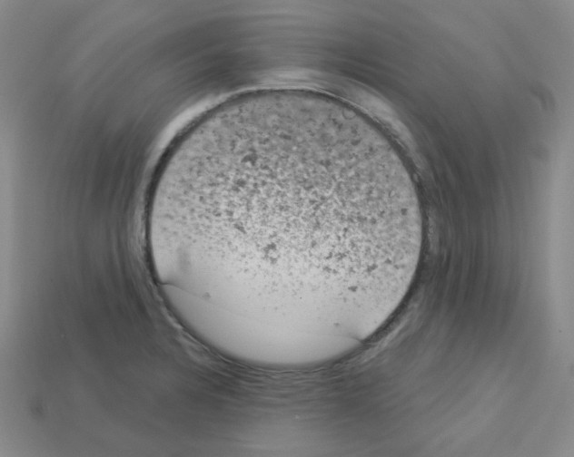 X0000112781328200910011249