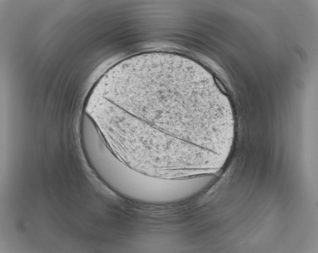 X0000112781330200910011249