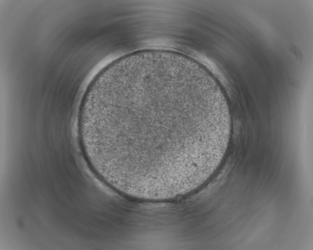 X0000112781331200910011249