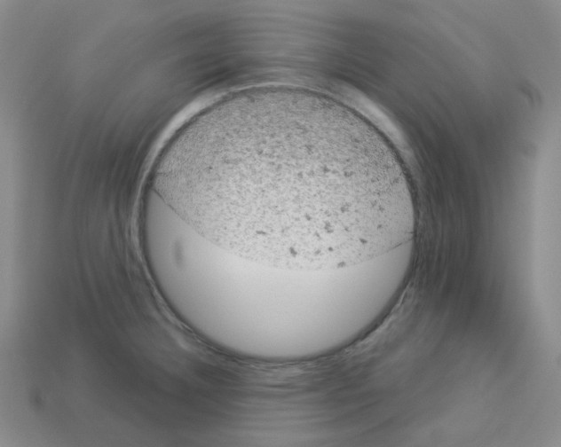 X0000112781332200910011249