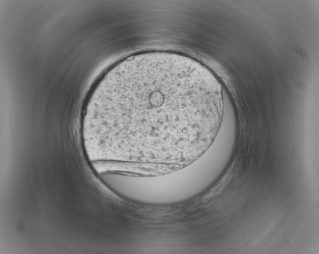 X0000112781334200910011249