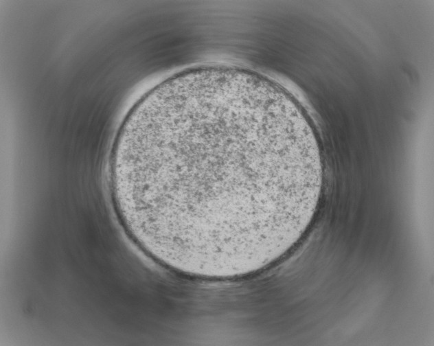 X0000112781335200910011249