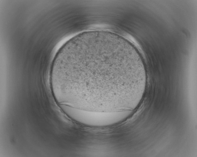 X0000112781336200910011249