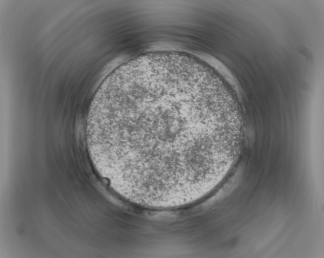 X0000112781337200910011249