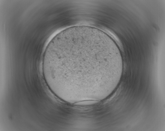 X0000112781340200910011249