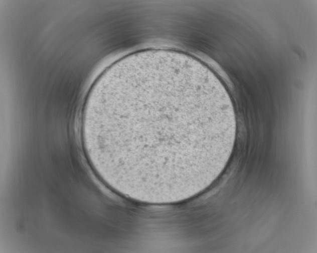 X0000112781343200910011249