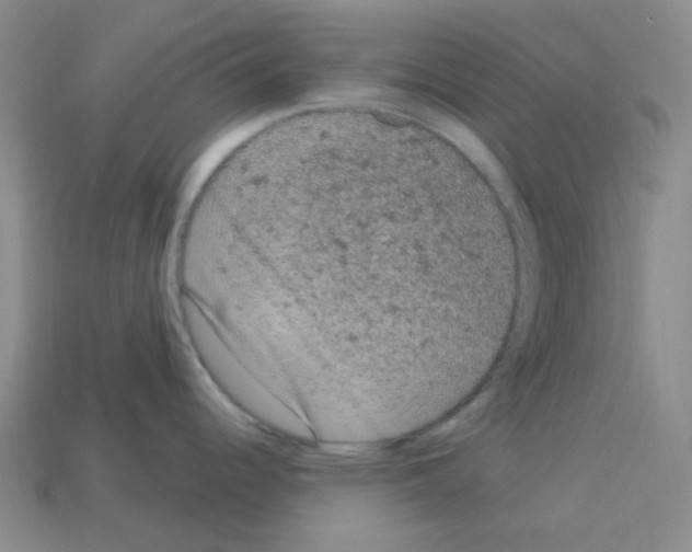 X0000112781344200910011249