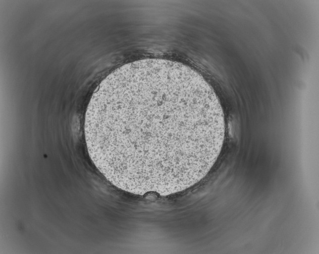 X0000112781347200910011249