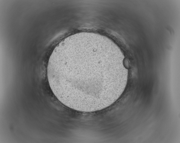 X0000112781350200910011249