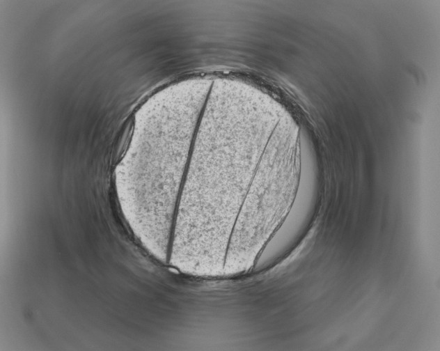 X0000112781353200910011249